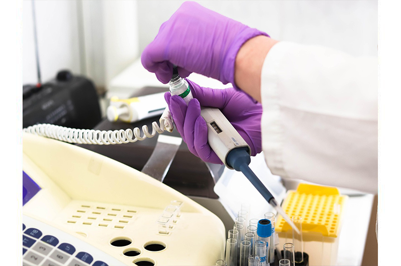 Researchers make breakthrough in fighting a leading cause of fungal pneumonia